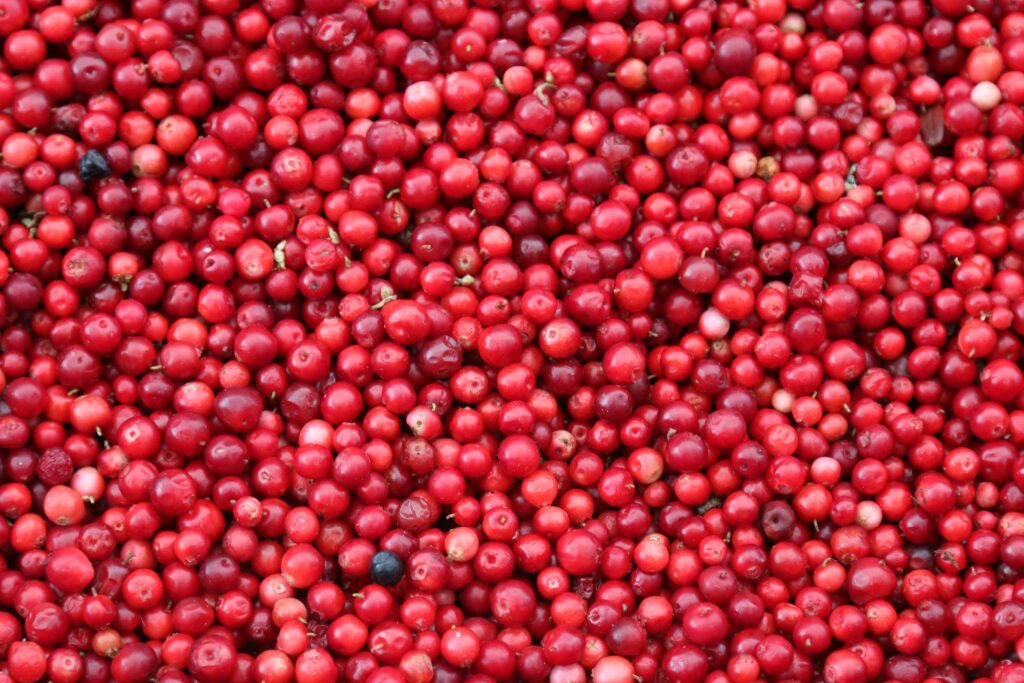 Cranberries for Thanksgiving cranberry relish