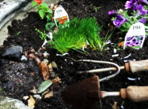 gardening for bees