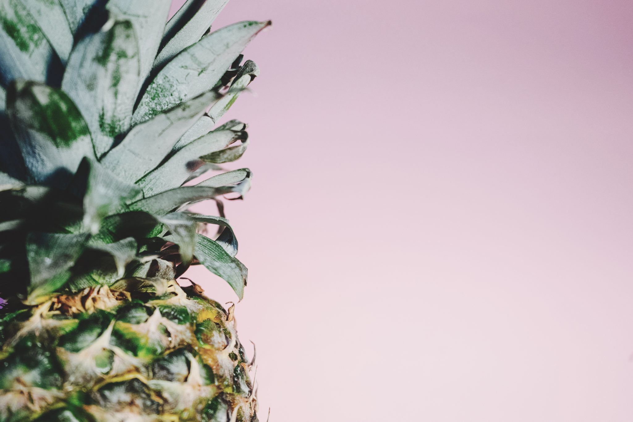 pineapple is a good kids plant