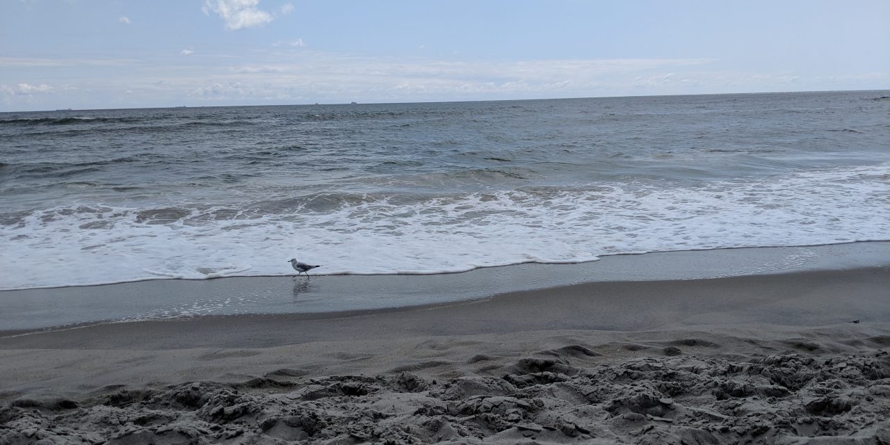 Jacob_Riis_Beach