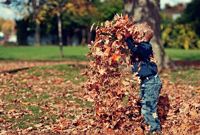 November weekday events leaves PX