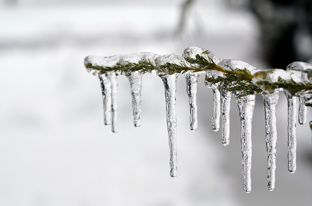 February weekend events icicles PX