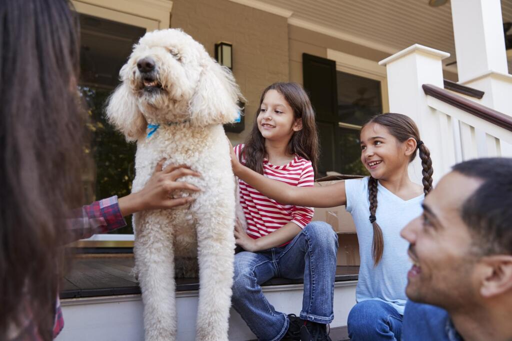Best Pets for Children with Allergies A Child Grows