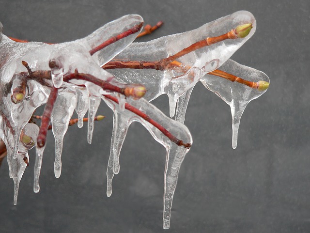 January weekend events icicles PX