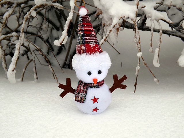 February weekend events snowman px