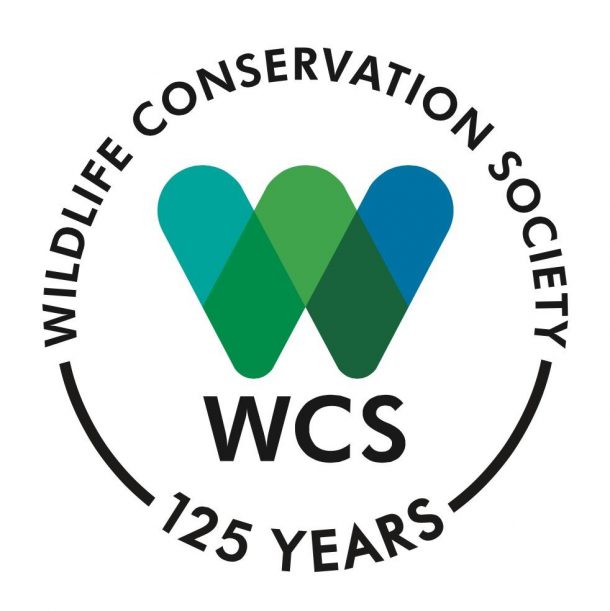 2021 Virtual Summer Camps – A Child Grows