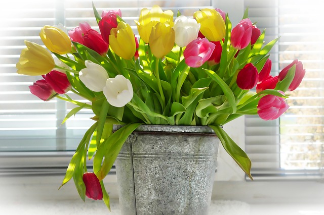 May weekend events tulips vase PX