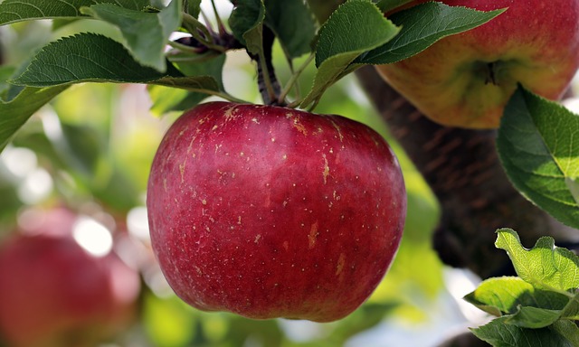 September weekend events apples PX