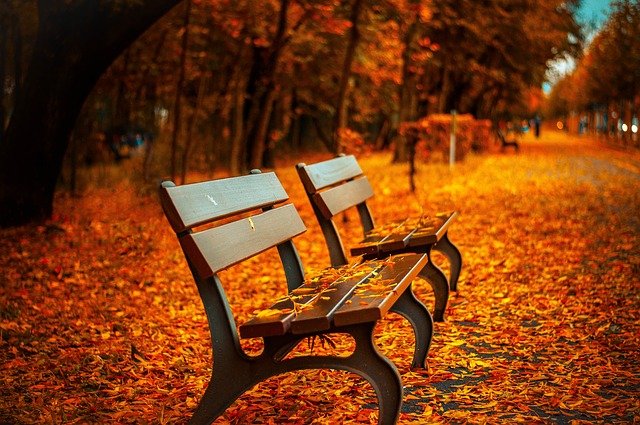 October weekend events benches PX
