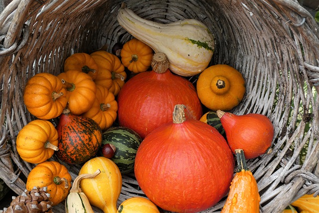 October weekend events squash PX