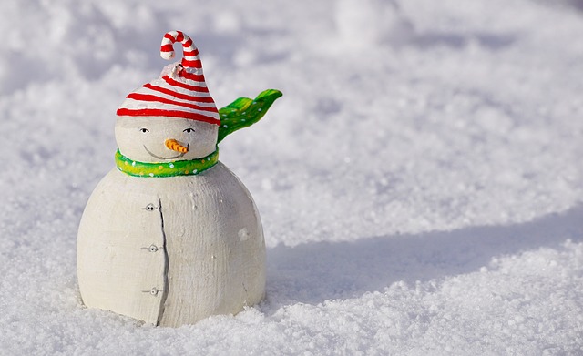 January weekend events snowman PX