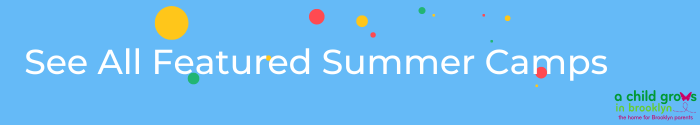View All Featured Camps Link Banner